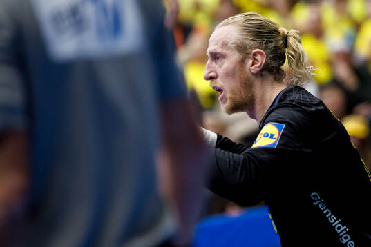 Goalkeeper Mikael Appelgren of Sweden