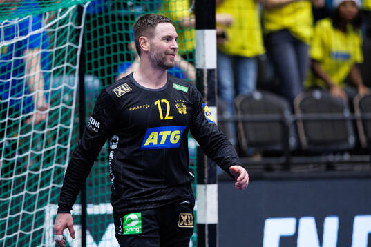 Goalkeeper Andreas Palicka of Sweden