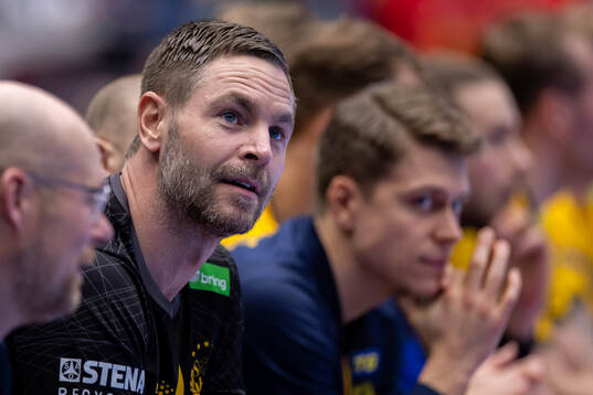 Goalkeeper Andreas Palicka of Sweden