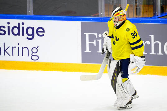 goaltender Felicia Frank look dejected