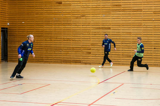 Goalkeeper Mikael Appelgren, goalkeeper Andreas Palicka and