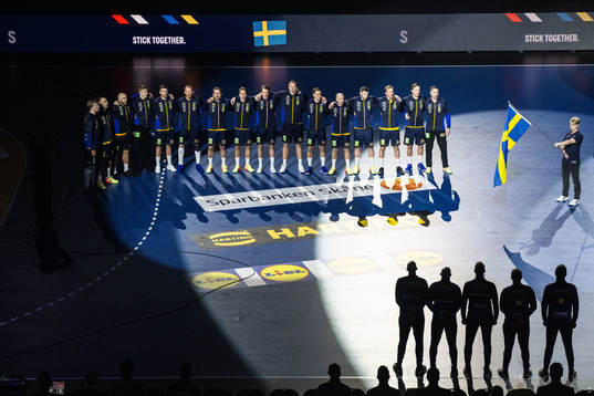 Players of Sweden