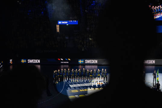 Players of Sweden