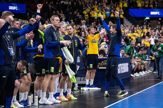 Manager Glenn Solberg of Sweden celebrates