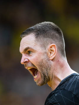 Andreas Palicka of Sweden celebrates
