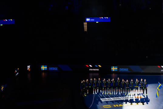 Players of Sweden at line up