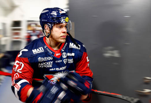 Linköpings Petrus Palmu