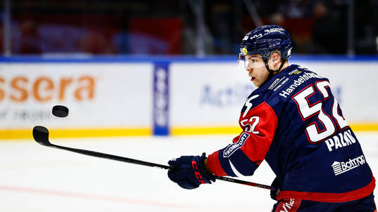 Linköpings Petrus Palmu