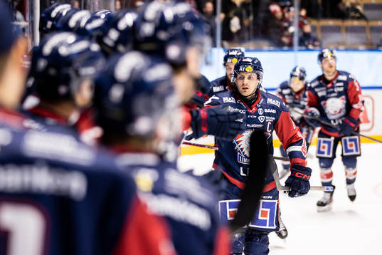 Linköpings Markus Ljungh jublar