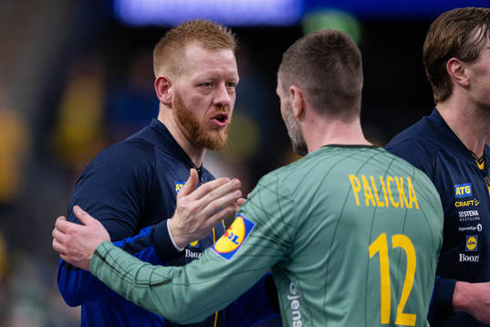 Jim Gottfridsson and goalkeeper Andreas Palicka of Sweden