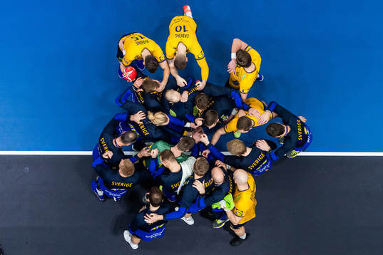 Players of Sweden gather
