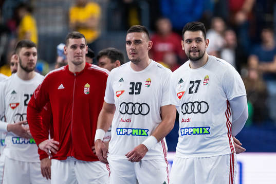 Richard Bodo and Bence Banhidi of Hungary look dejected
