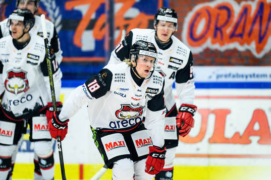 Malmö Redhawks Marcus Sylvegård jublar