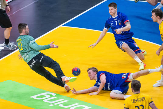 Goalkeeper Andreas Palicka of Sweden with a save against
