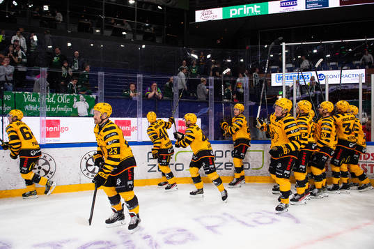Skellefteås jublar