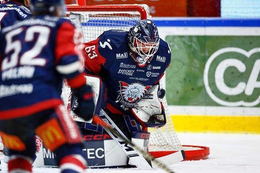 Linköpings målvakt Marcus Högberg