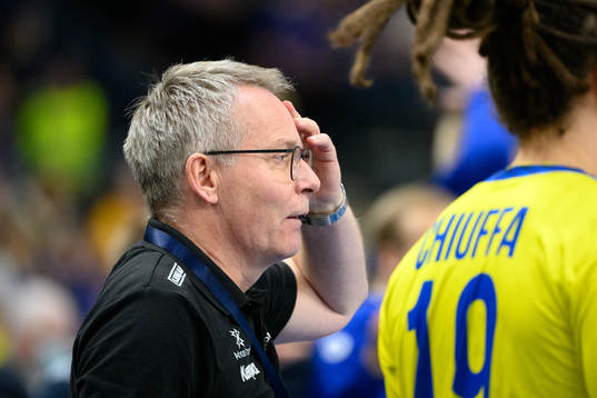 head coach Gudmundur Thordur Gudmundsson of Iceland
