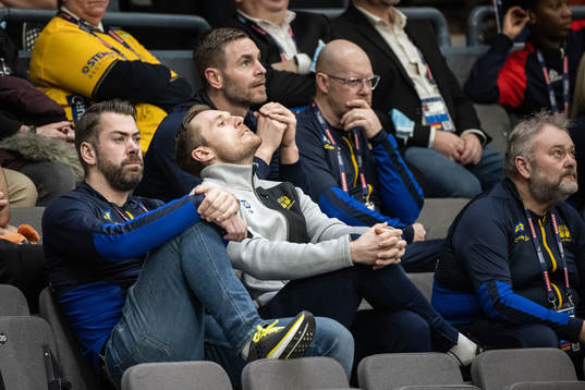 Albin Lagergren and Andreas Palicka of Sweden in the stands