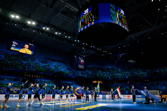 Players of Sweden