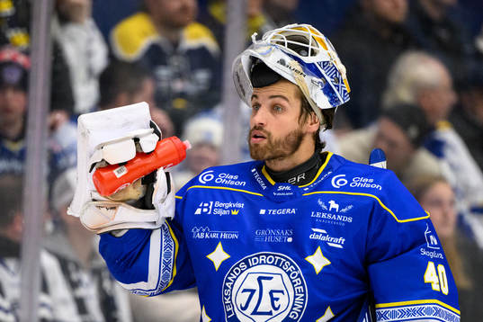 Leksands målvakt Mantas Armalis
