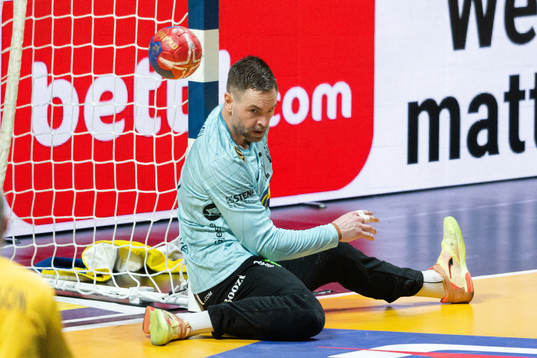 Goalkeeper Andreas Palicka of Sweden