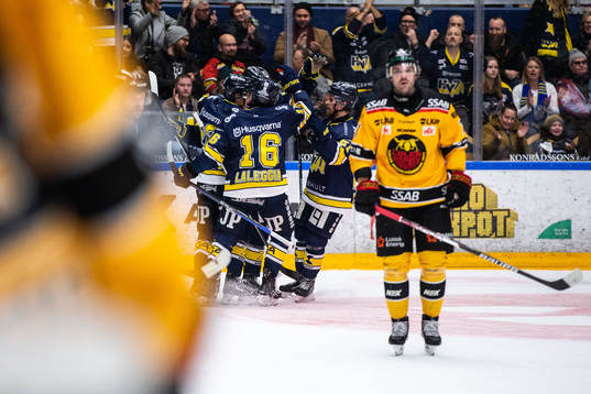 HV71s spelare jublar