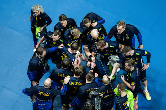Players of Sweden