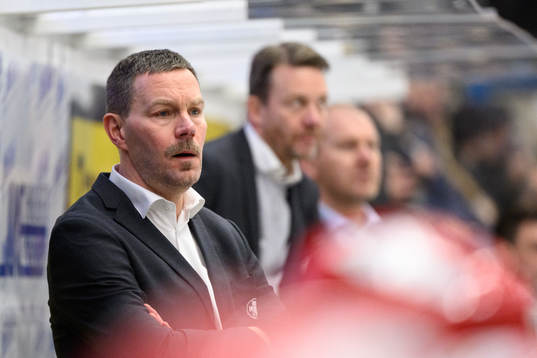 HV71s assisterande tränare Per Gustafsson