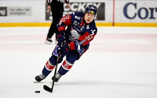 Linköpings Petrus Palmu