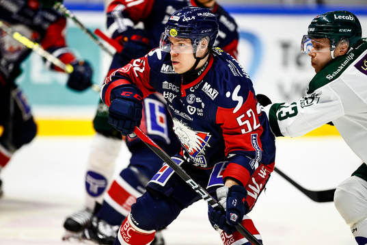 Linköpings Petrus Palmu