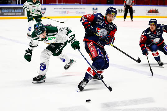 Linköpings Vilmos Gallo