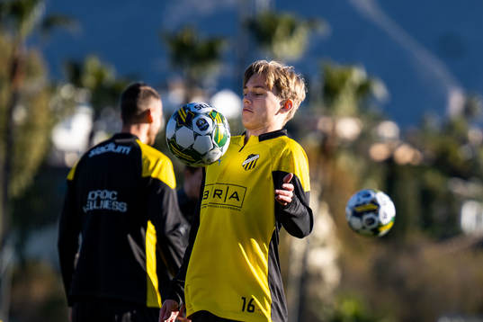 Pontus Dahbo