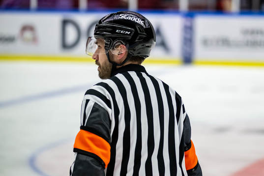 Domare Mattias Enroth