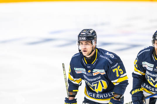HV71s Radan Lenc jublar