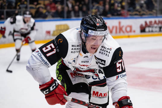 Malmö Redhawks Emil Sylvegård