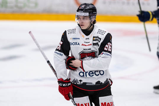 Malmö Redhawks Lukas Wernblom deppar