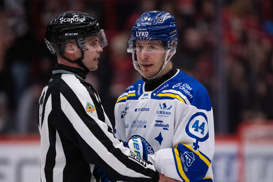 Domare Rasmus Strömberg och Leksands Carter Ashton
