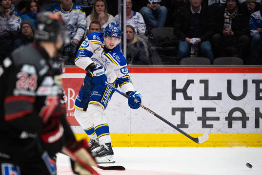 Leksands Lian Bichsel
