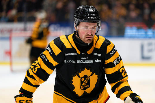 Skellefteås Adam Mascherin deppar