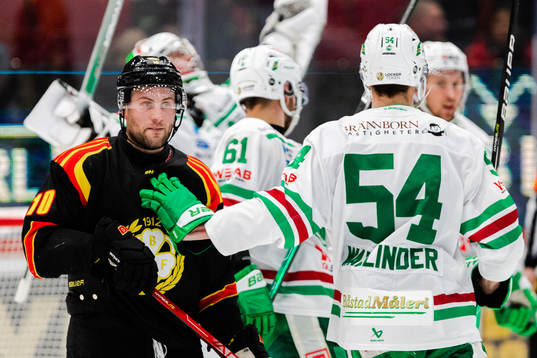 Brynäs Johan Larsson deppar