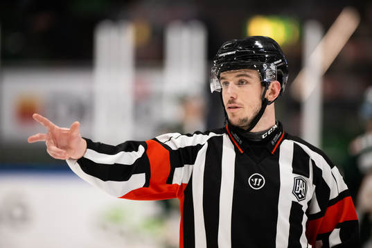 Domare Oscar Niklasson