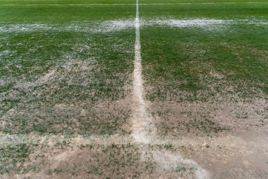 The pitch at Marbella Football Center