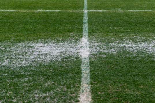The pitch at Marbella Football Center