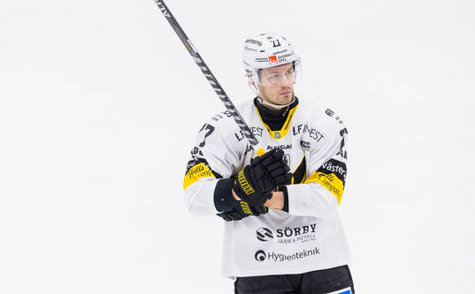 Västerås Ludvig Jardeskog