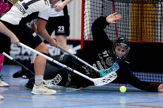 Nackas målvakt Stephanie Dalbjer
