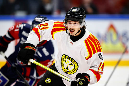 Brynäs Hannes Björninen
