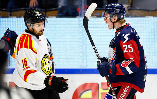 Brynäs Simon Bertilsson deppar och Linköpings Filip