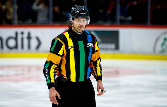 Domare Johan Magnusson