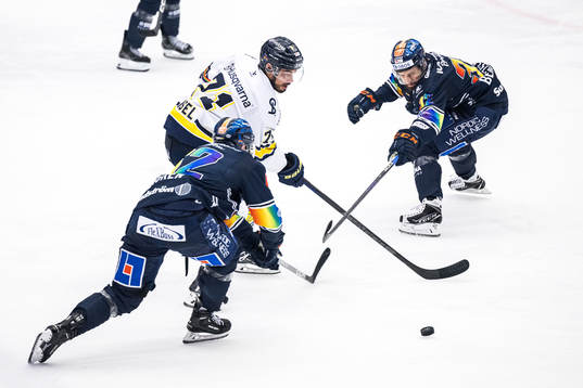HV71s Tyler Vesel