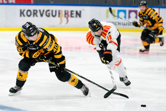 Skellefteås Andreas Wingerli och Brynäs Anton Rödin
